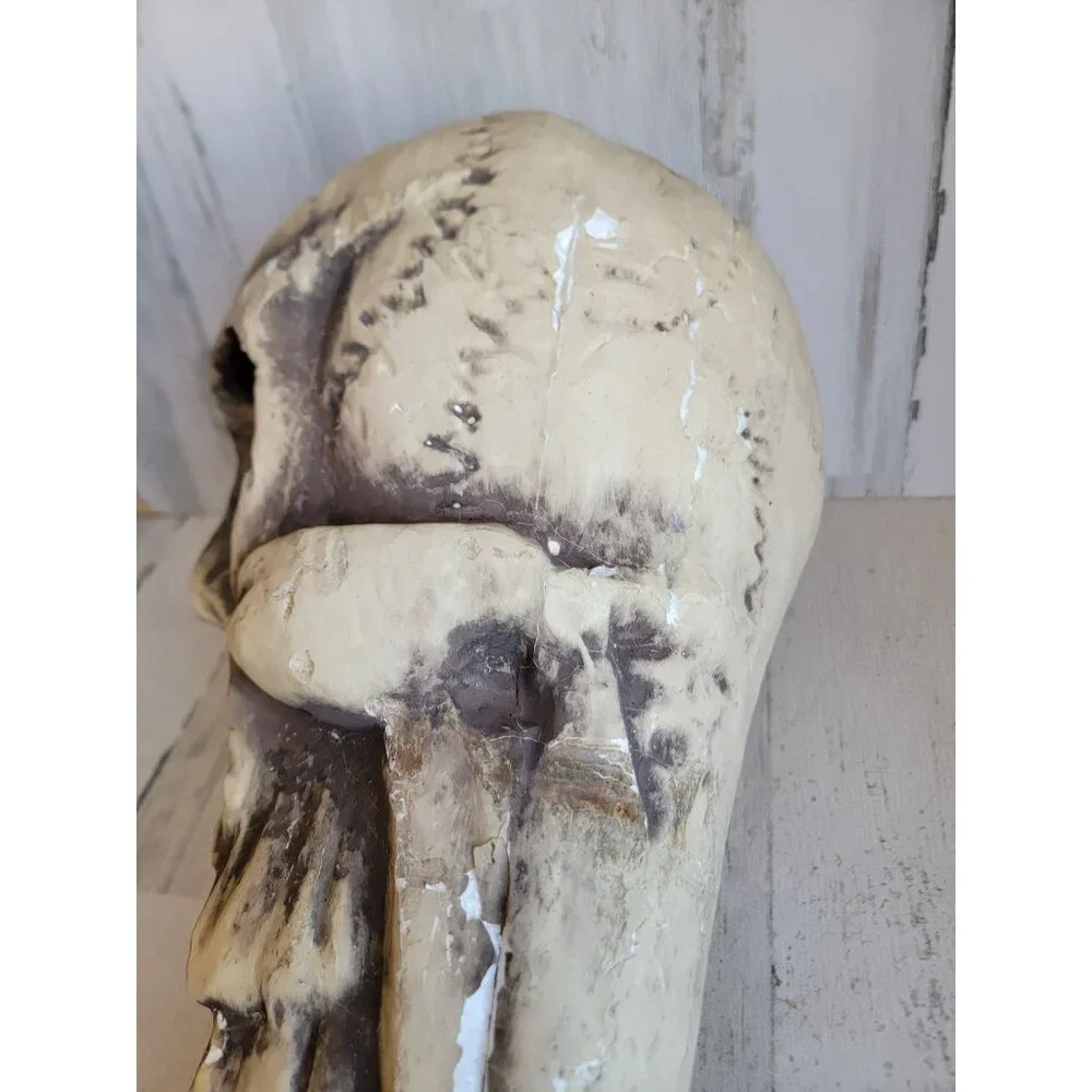Skull large foam AS IS head Halloween prop home decor bowl unique‎
